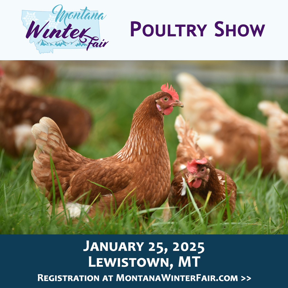 25.PoultryShow