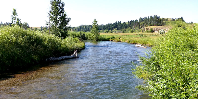 brewery fishing1