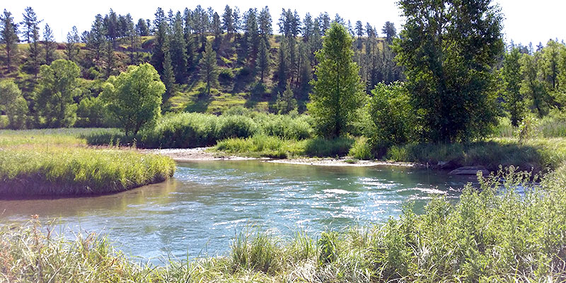 brewery fishing2