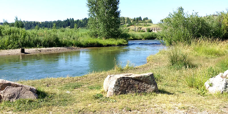 brewery fishing3