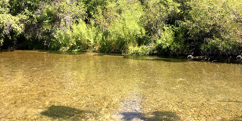 brewery fishing4