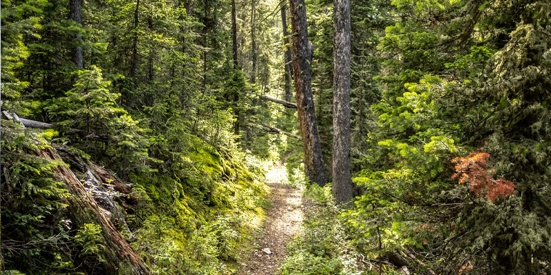 grandview trail4